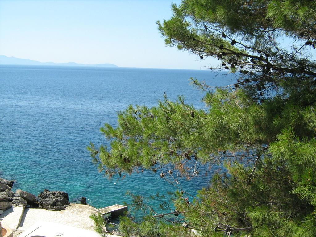 Apartments Bisko Прізба Номер фото